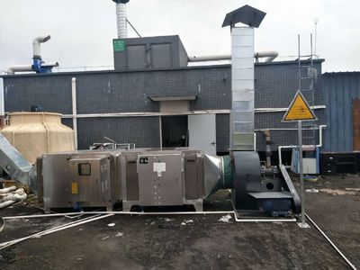 中科新藍(lán) 東莞地區(qū)安全可靠的廢氣處理與垃圾站除臭環(huán)保設(shè)備安裝專家