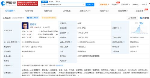 運(yùn)動(dòng)項(xiàng)目經(jīng)營 策略、挑戰(zhàn)與未來趨勢(shì)